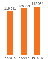 총자산 FY2016:119,381, FY2017:125,994, FY2018:132,084