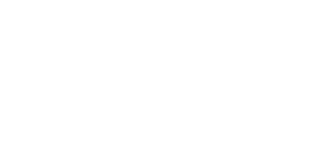 Insurance Financial Strength Rating AAA