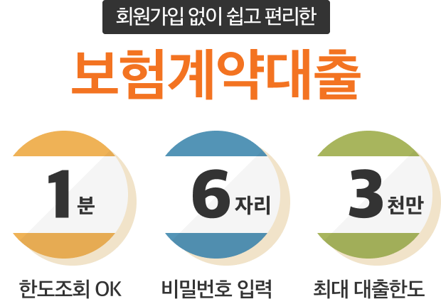 회원가입 없이 쉽고 편리한 보험계약대출 1분 한도조회 ok 6자리 비밀번호 입력 3천만 최대대출한도